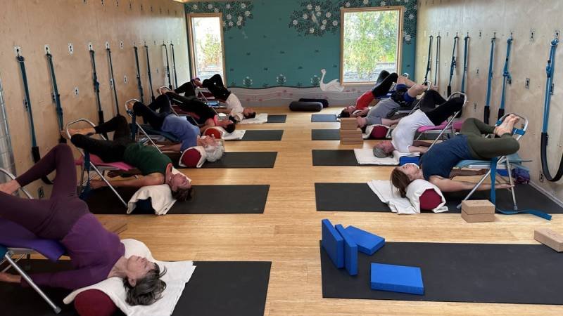 workshops are based on themes such as Posture, Longevity, the Vagus Nerve, the Spine, the Core and The Chakras